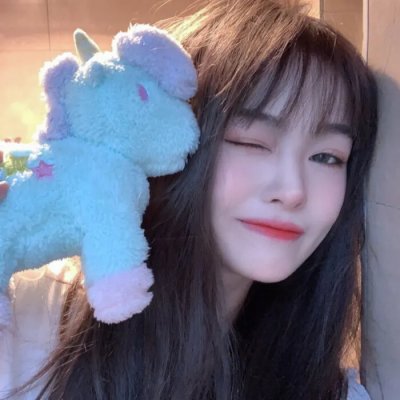 网美嬉游记